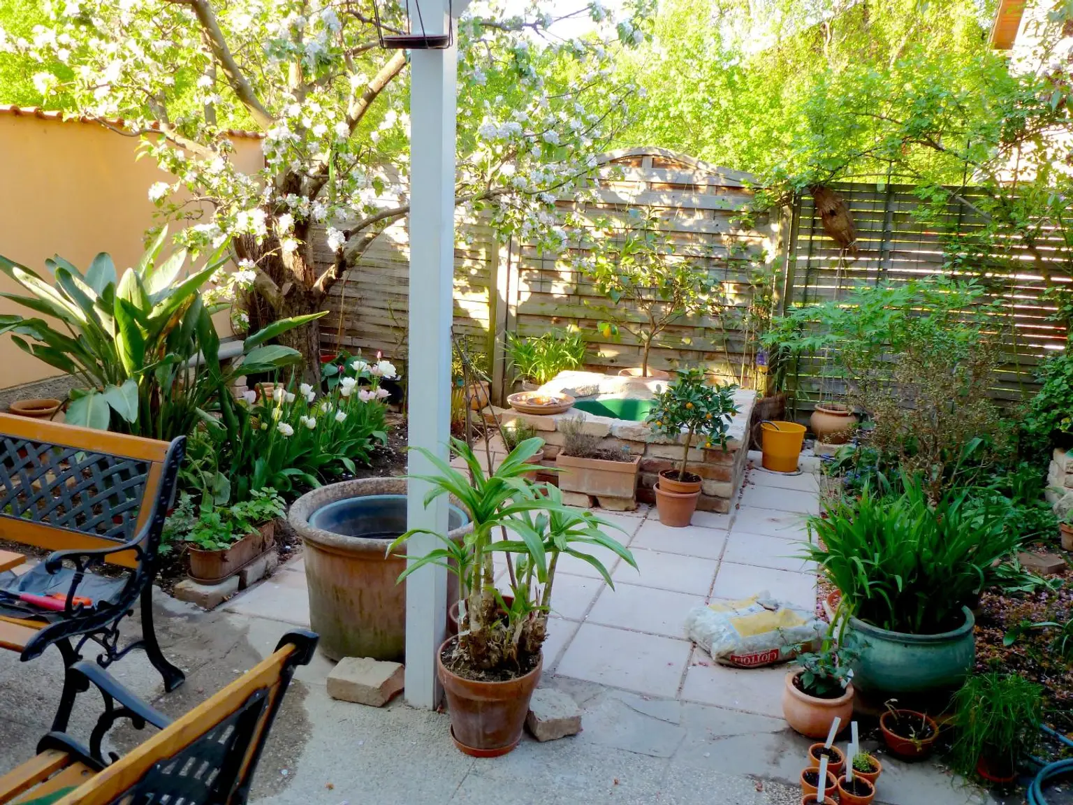 Garten im Sommer