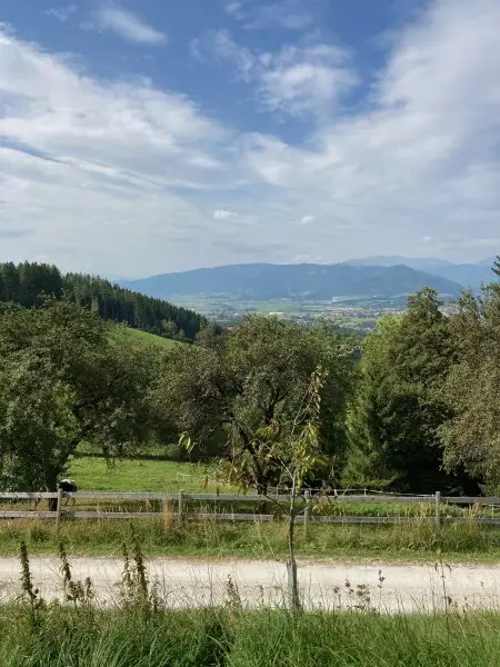 10 ha Pferde-/Bauernhof mit Panoramalage