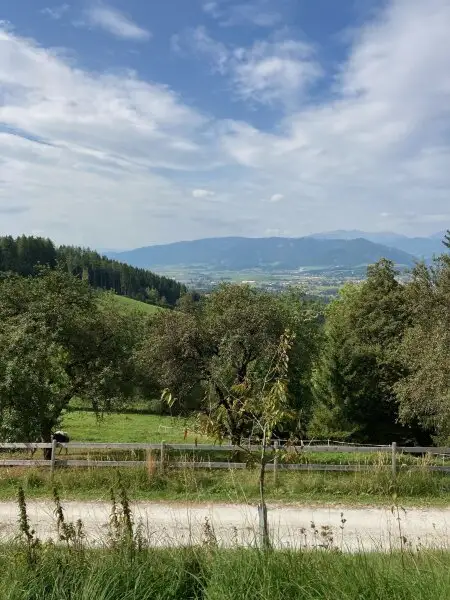 10 ha Pferde-/Bauernhof mit Panoramalage