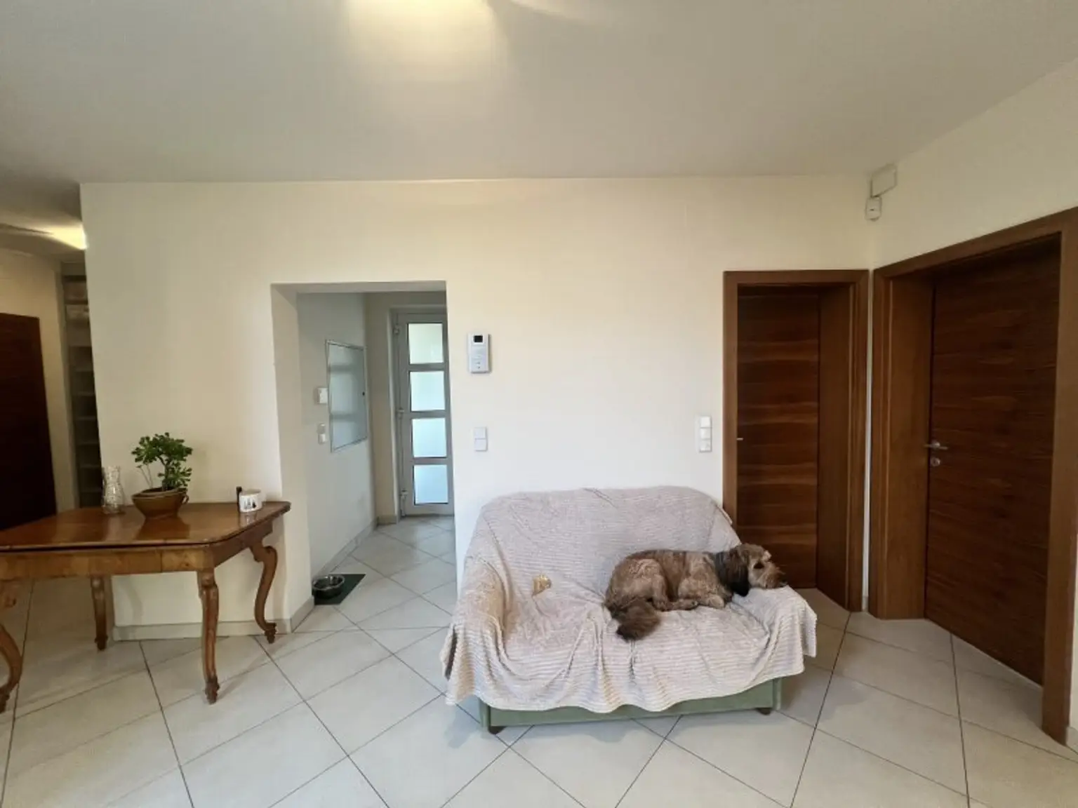 Moderne, zentrumsnahe Familienvilla mit großem Garten in gefragter Grünruhelage (!)
