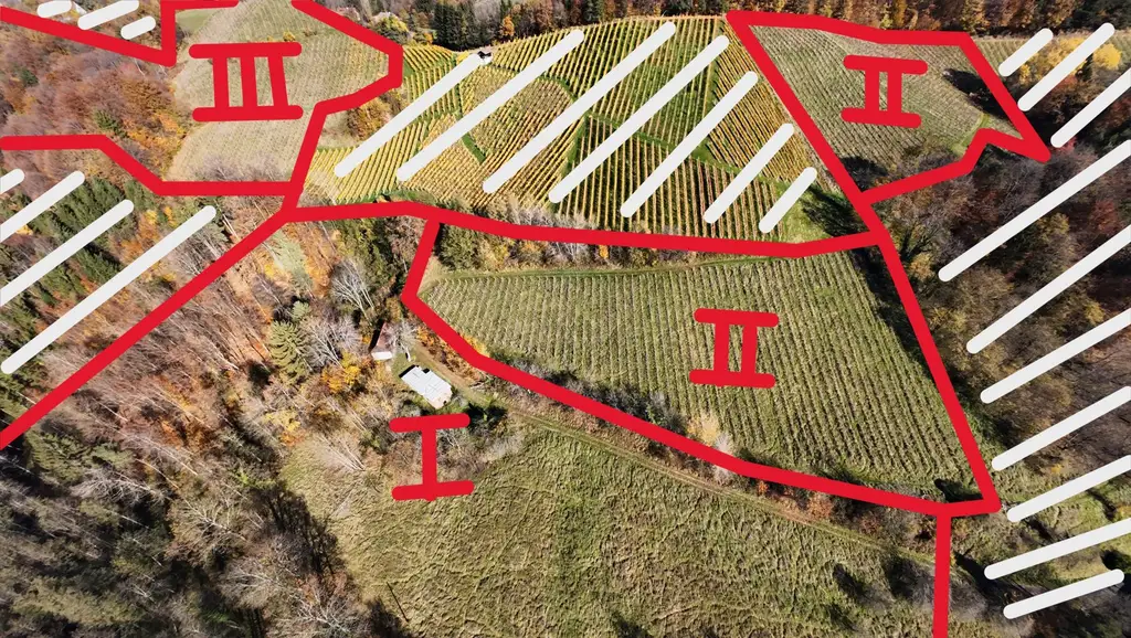 Weingarten mit Landwirtschaft und Altbestand in Kranach, Gemeinde Gamlitz