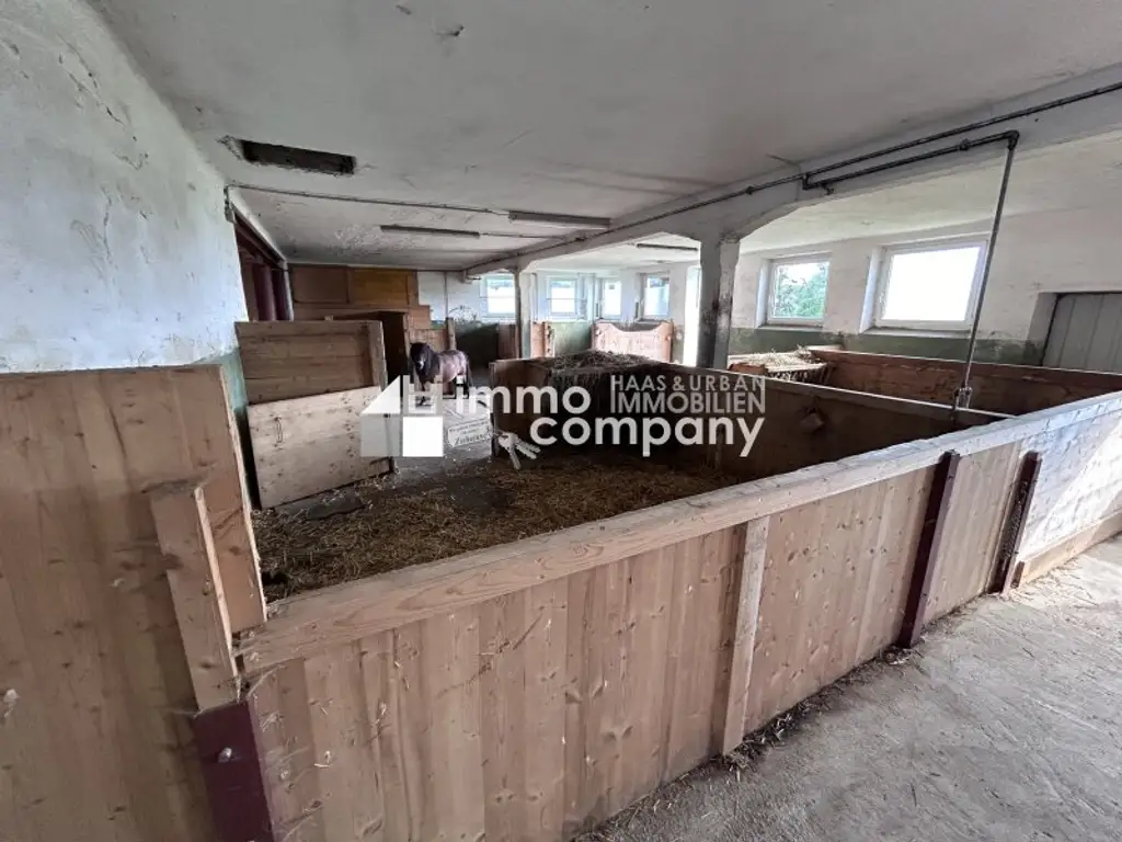 Das Glück der Erde liegt am Rücken der Pferde I Selbstversorger-Stall nahe Oberndorf - ca. 8.000qm I +5 Boxen I Koppel I 500 EUR Miete!