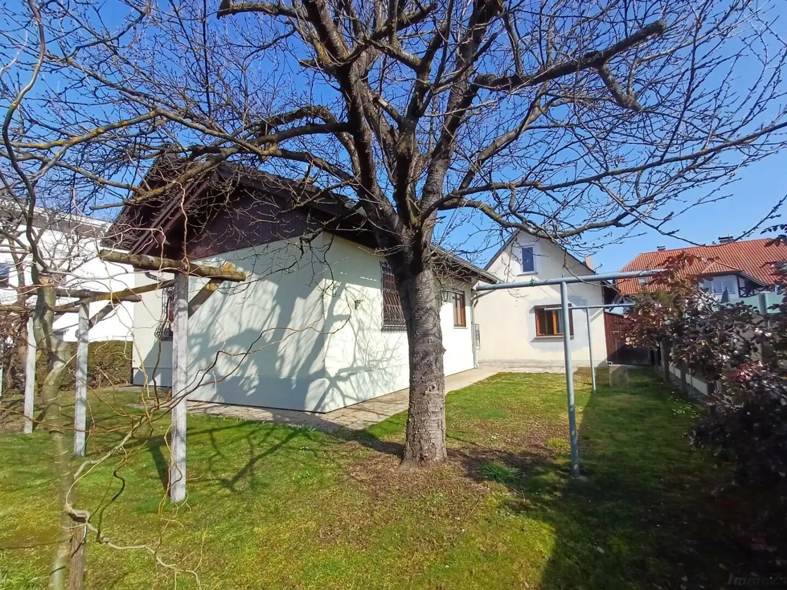 20260306_115736_resized(1)