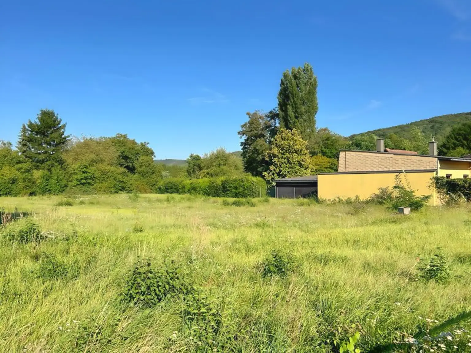 Sonniges Baugrundstück in Wolfpassing: 2.102m² für 989.000 € – Ihr Platz zum Leben! AUCH FÜR BAUTRÄGER INTERESSANT!