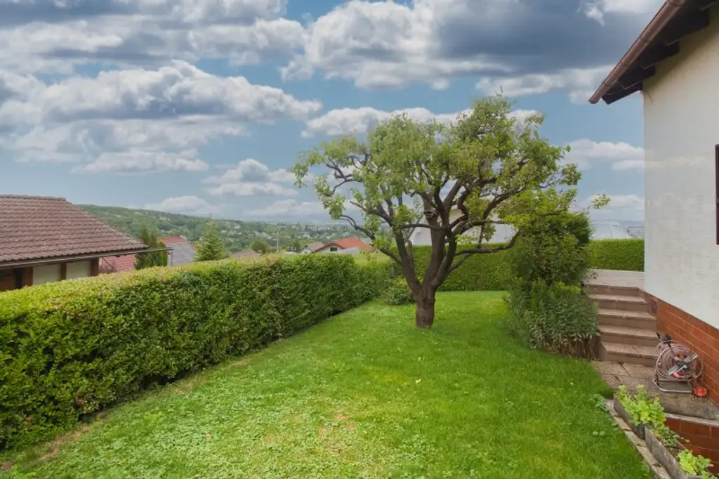 GANZ WIEN UNTER SICH | Eigengrund mit Blick über Wien und charmantem Kleingarten-/Einfamilienhaus am herrlichen HEUBERG