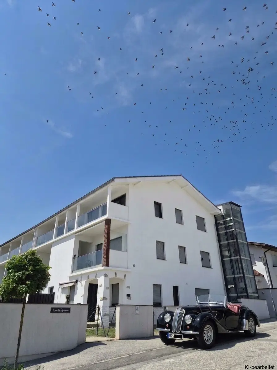 Attraktives Investment - 3 Zimmer Gartenwohnung mit Klimaanlage, perfekt als Haupt- od. Zweitwohnsitz im Neusiedlerseegebiet - Wohnen in der einzigartigen Seen- und Weinregion