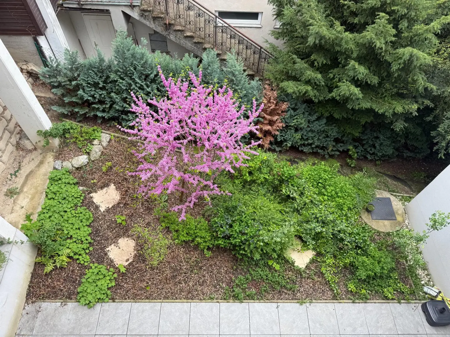 Ruhige Terrasse und Gartenwohnung  im Kahlenbergerdorf