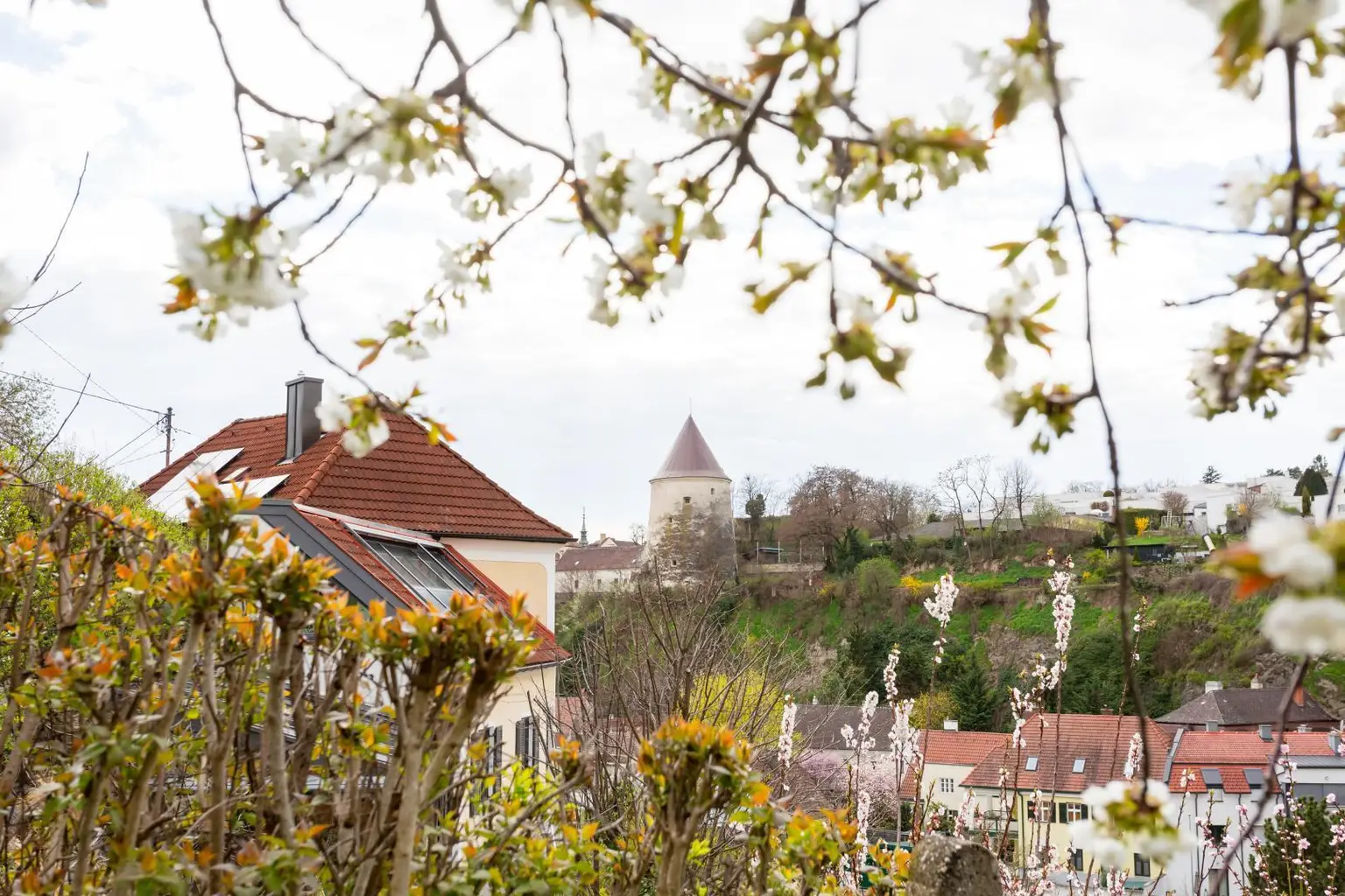 Ausblick