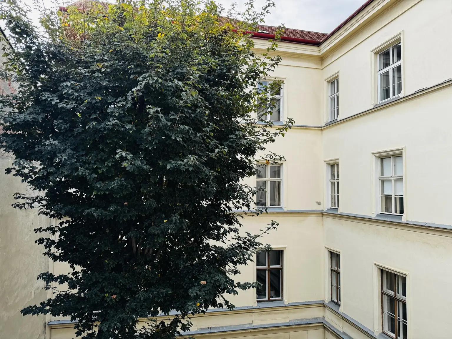 Ruheinsel nächst Parlament