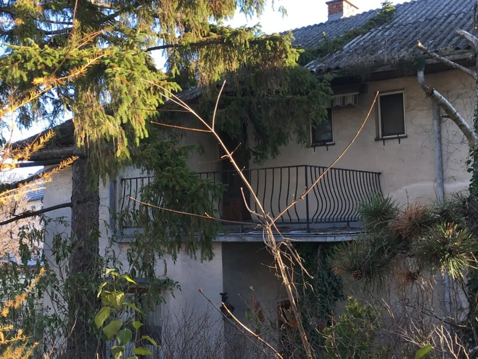 Ihr neues Zuhause in Bruck/Leitha