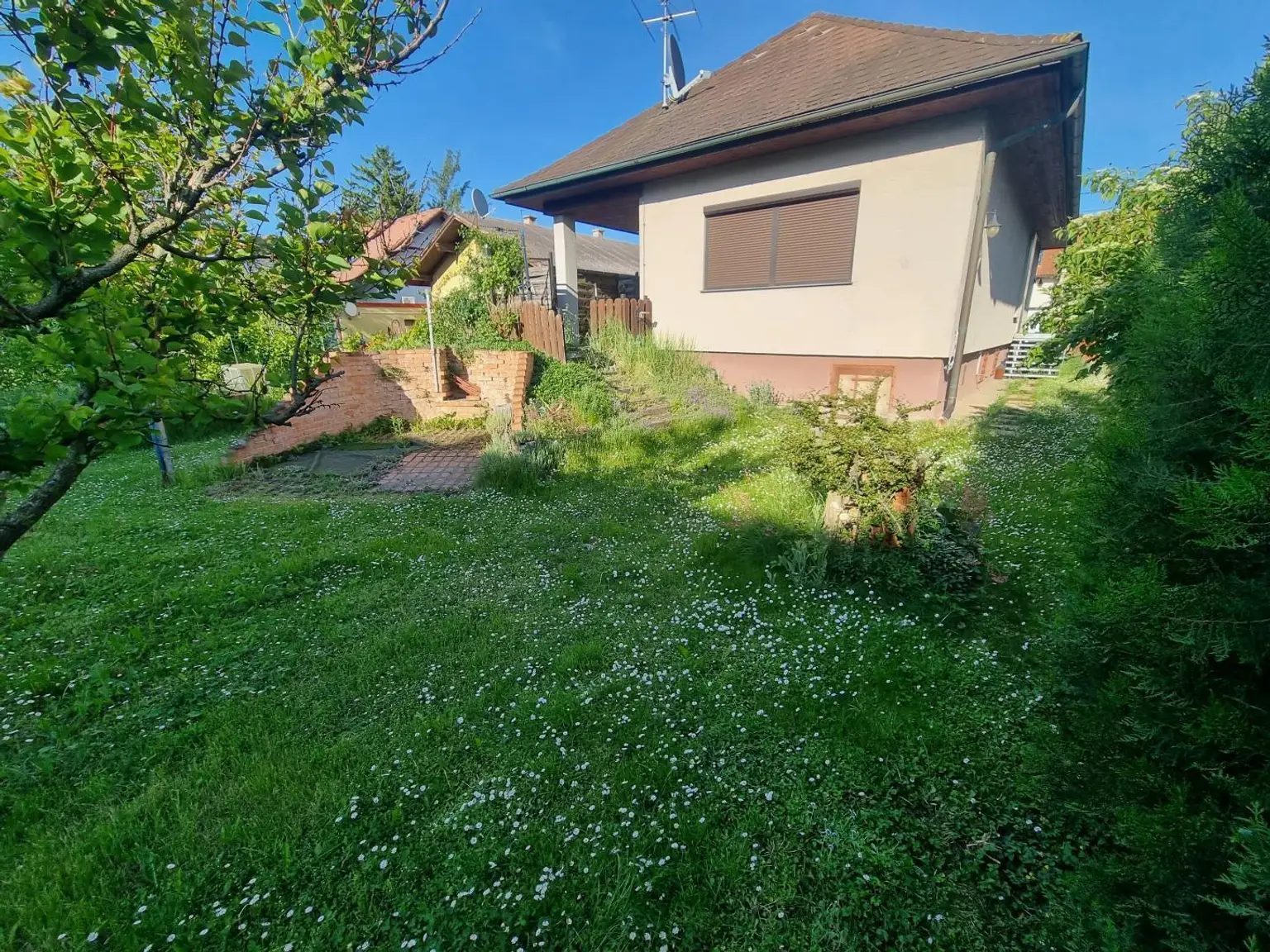 Haus-hinten