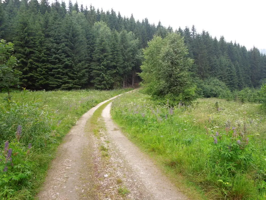 Einfamilienhaus nähe Naturpark Hohe Wand