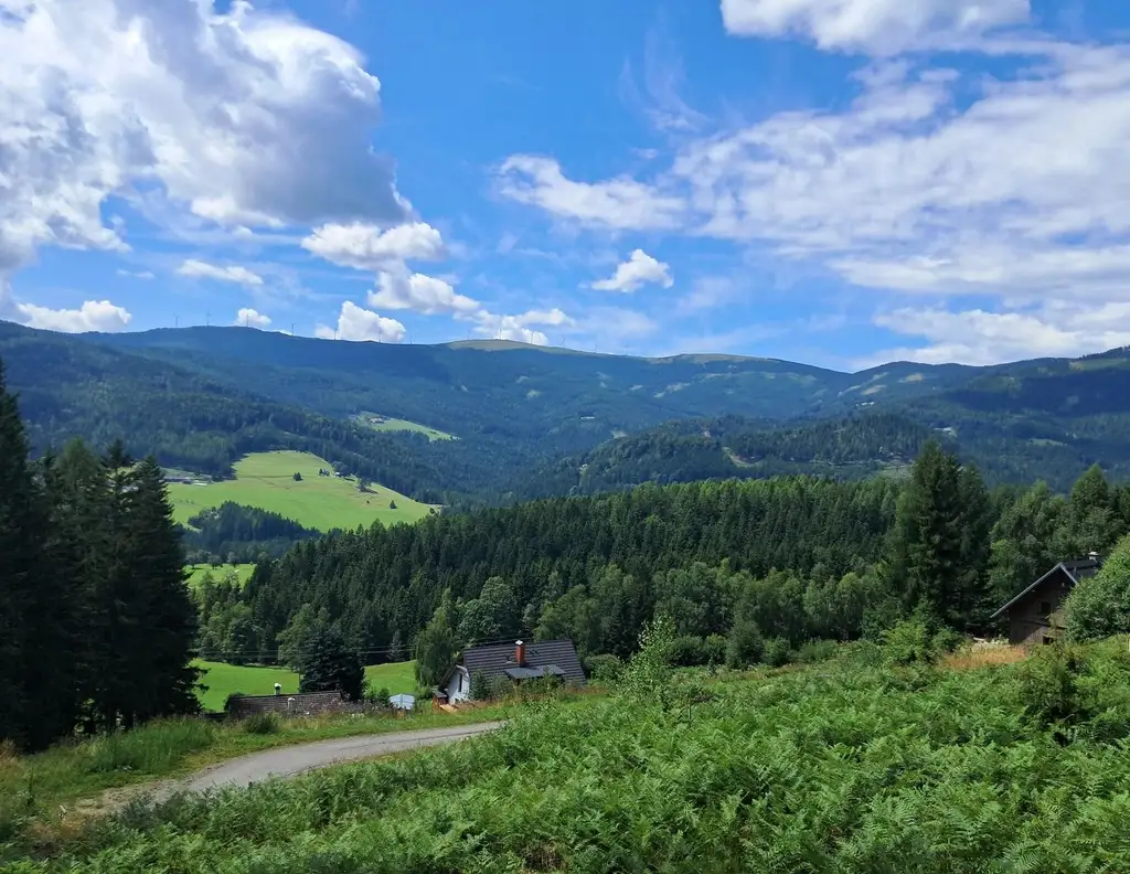 3 Hebalm Grundstücke mit 4 bewilligten Ferienhäuser (Provisionsfrei)