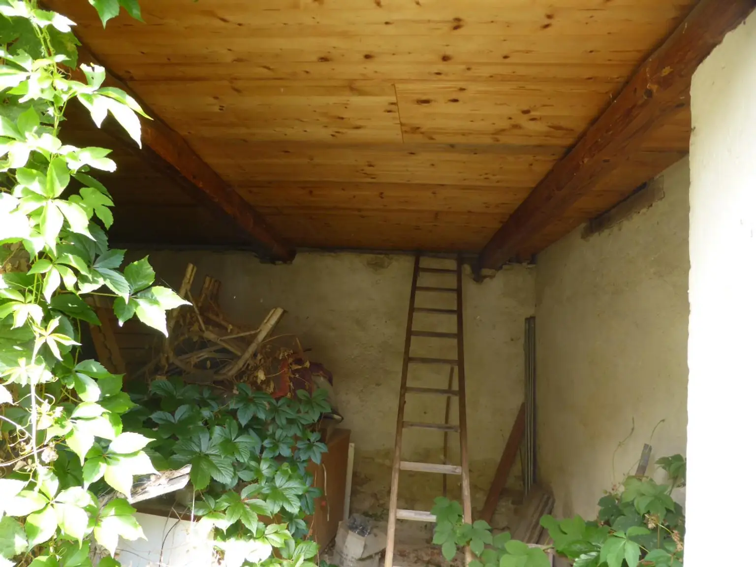Bastlerhit - Erwecke das Haus aus seinem Dornröschenschlaf