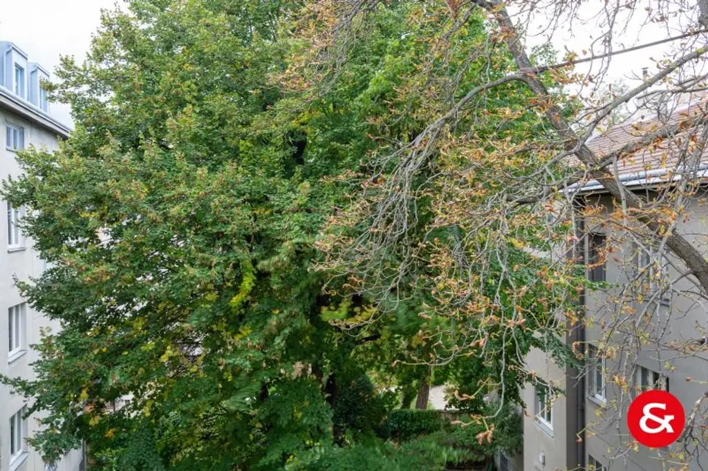 Hell, renovierte 3-Zimmerwohnung mit tollem Ausblick!