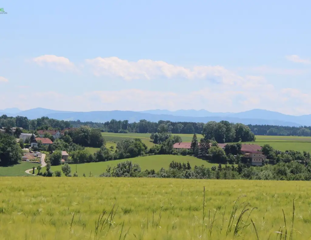 11 Baugrundstücke in Niederneukirchen (Nähe Linz)
