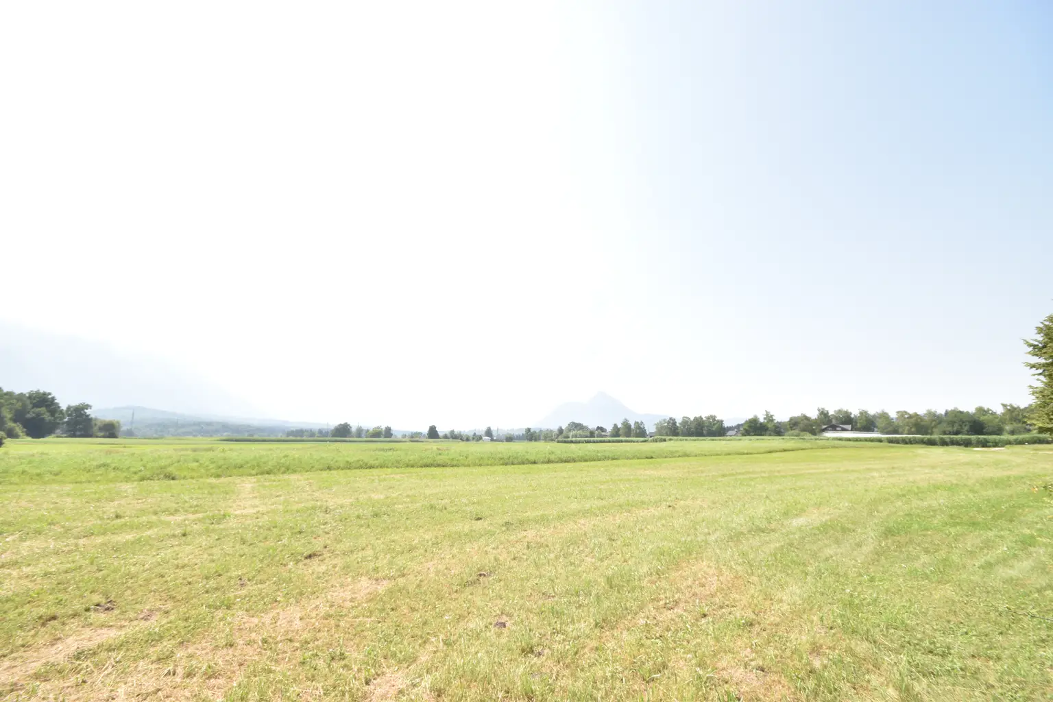 "LEOPOLDSKRON-MOOS - Landwirtschaftliches Anwesen in Alleinlage mit unverbaubarem Gebirgsblick"