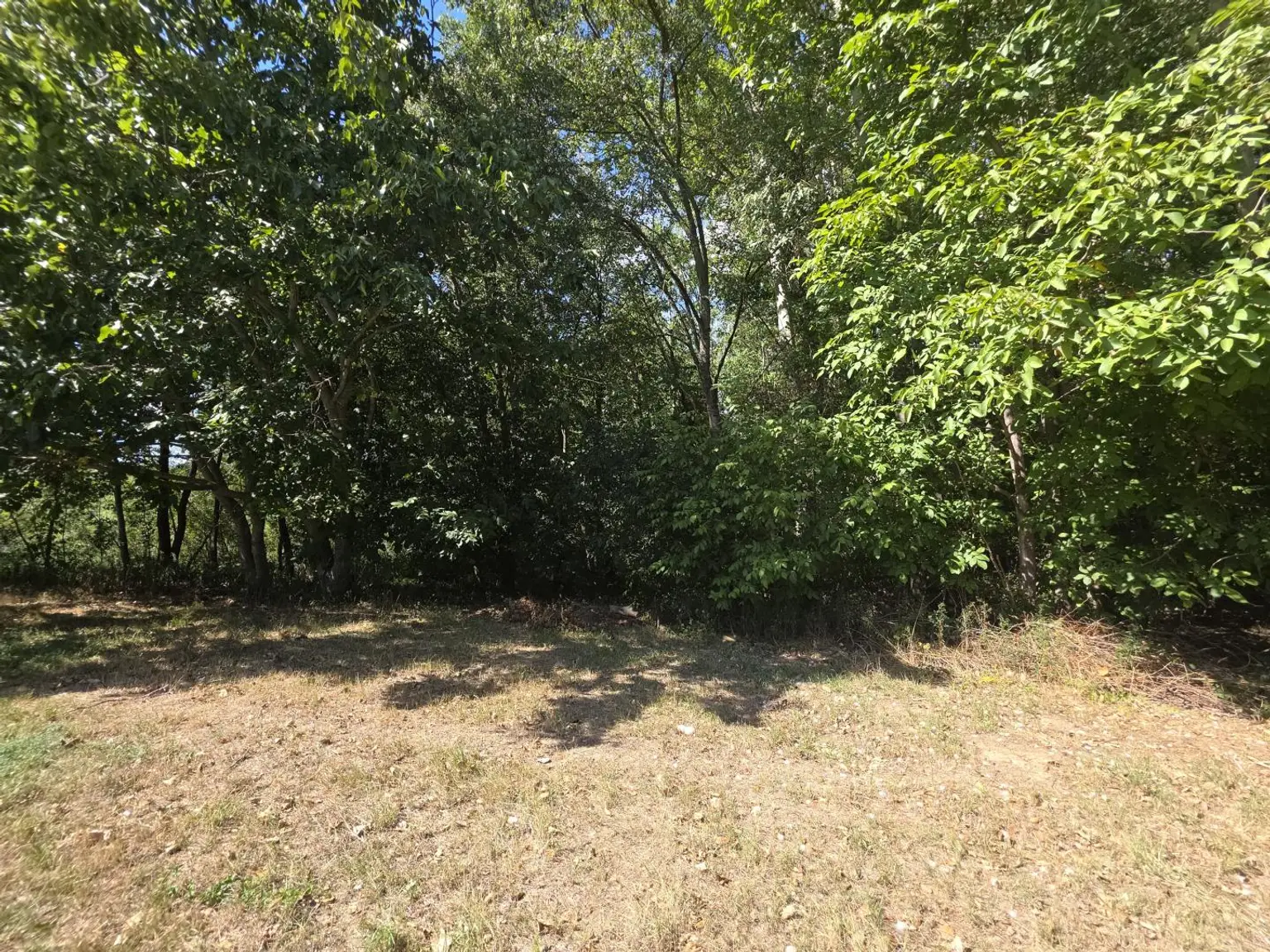 Zugang Wald