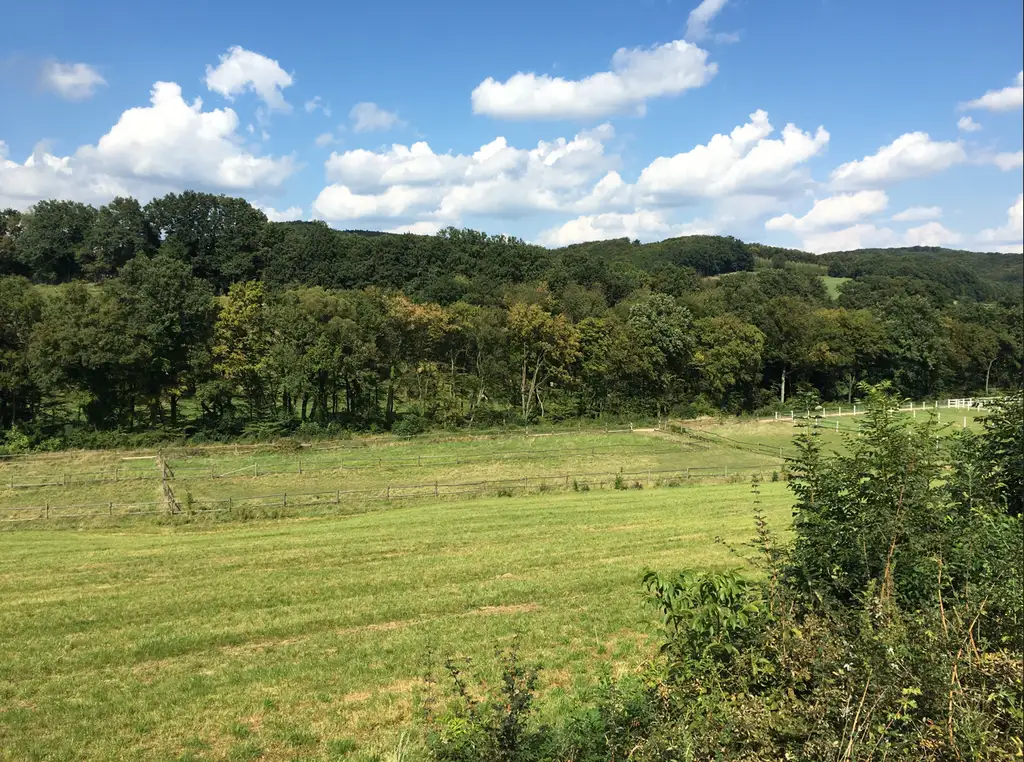 FAMILIENDOMIZIL MIT SCHWIMMTEICH