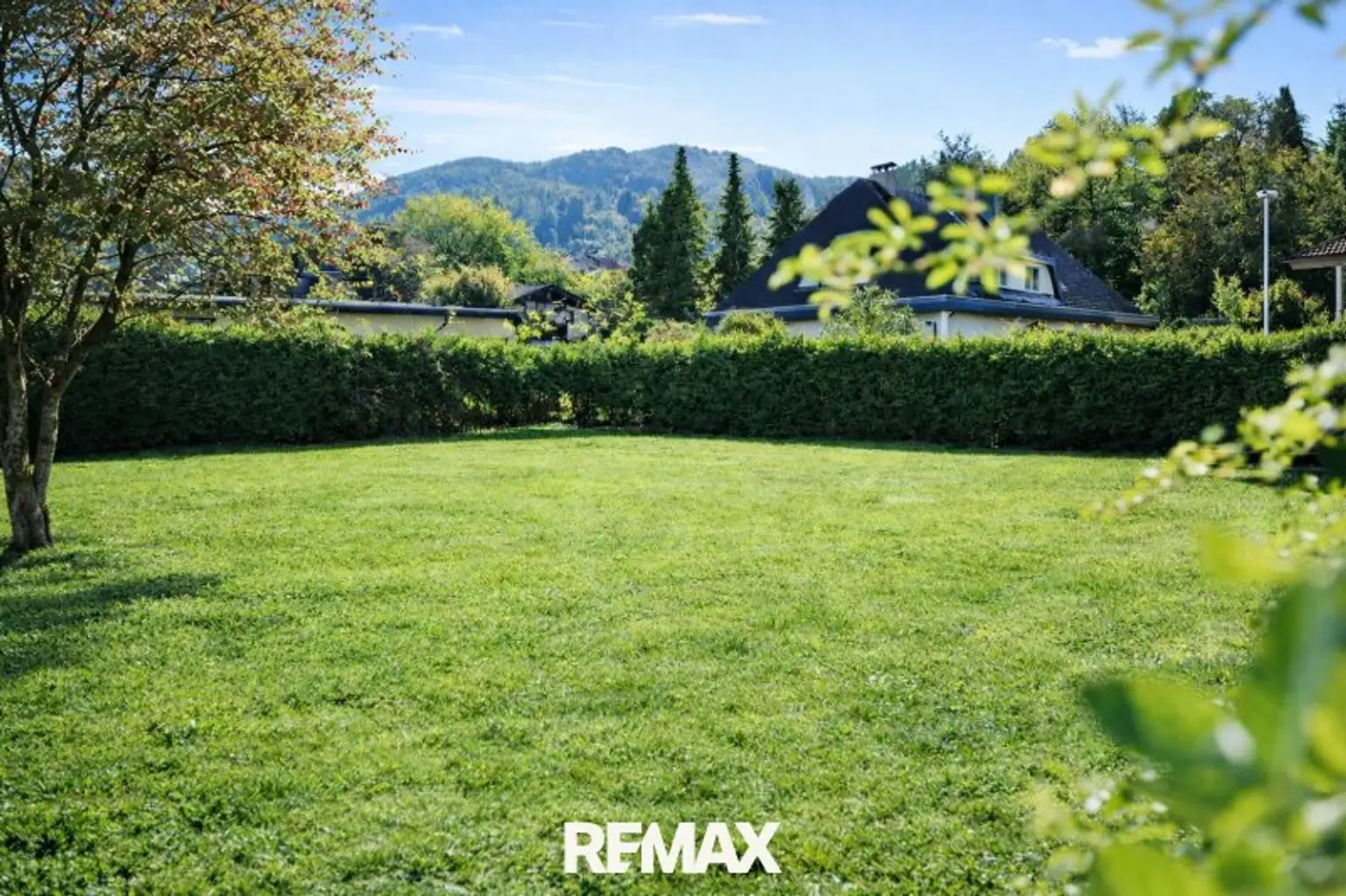 Garten im Sommer