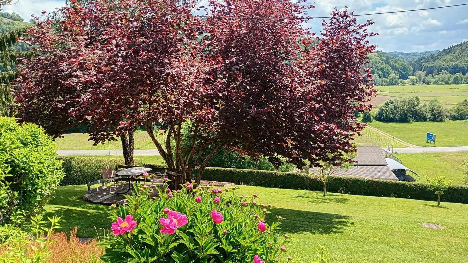 Garten