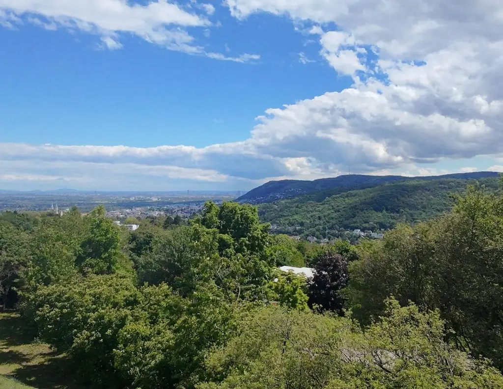 Über den Wolken - traumhafter Baugrund mit umfangreicher Vorstudie zur Bebauung am Ölberg mit unverbaubarer Aussicht in absoluter Ruhelage