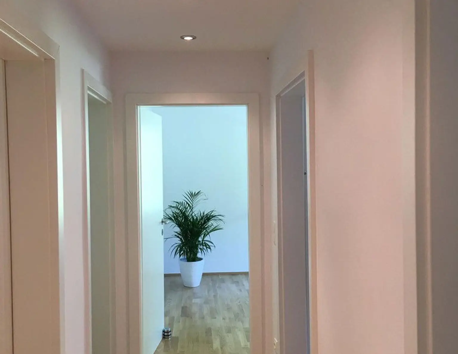 60 m2 von Privat, gartenseitige Ruhelage Pötzleinsdorfer Schlosspark