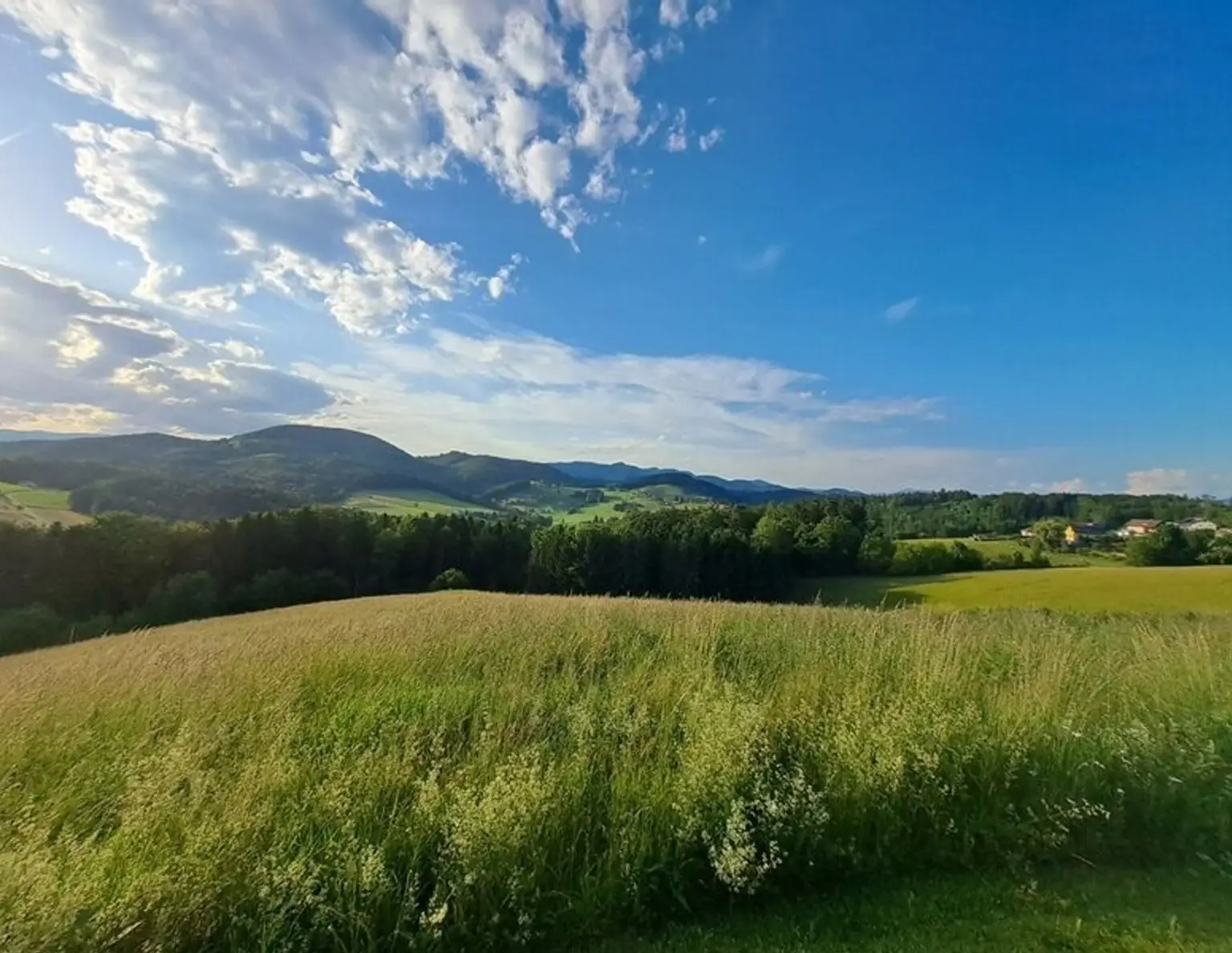 Pferdeliebhaber aufgepasst: Top-Landwirtschaft in herrlicher Lage Nähe Graz