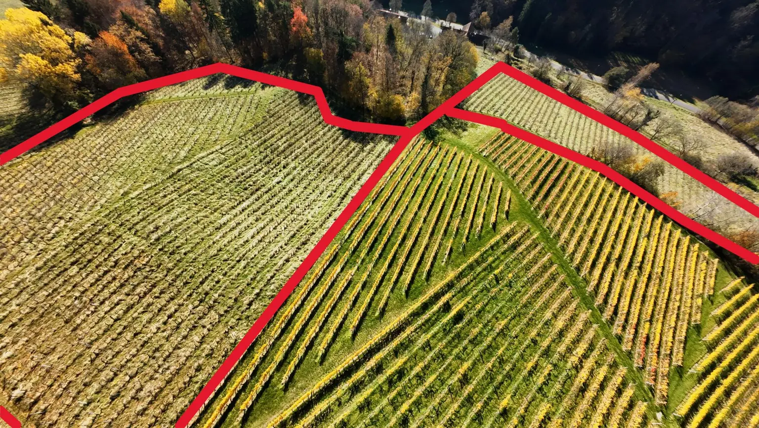 Weingarten mit Landwirtschaft und Altbestand in Kranach, Gemeinde Gamlitz