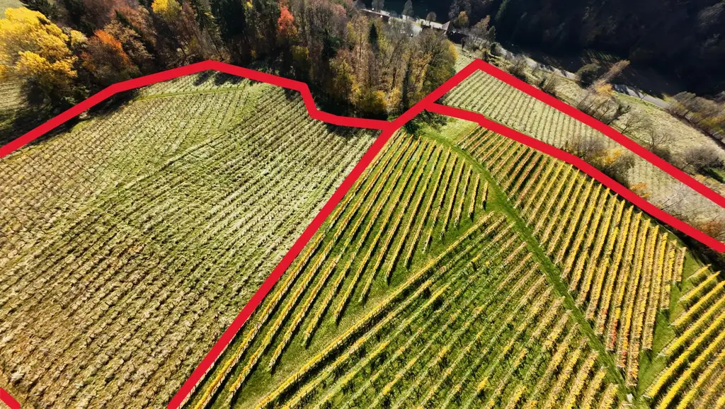 Weingarten mit Landwirtschaft und Altbestand in Kranach, Gemeinde Gamlitz