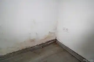 Wand Wohnzimmer EG
