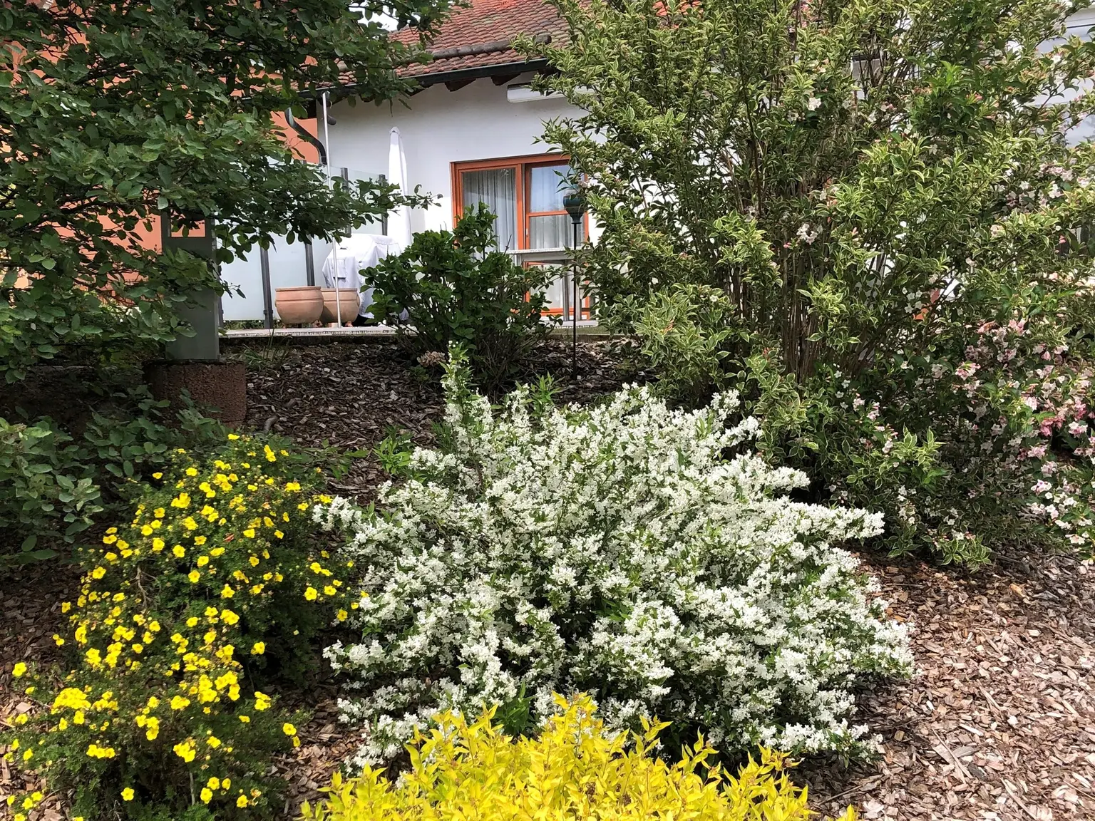 Gartenimpressionen