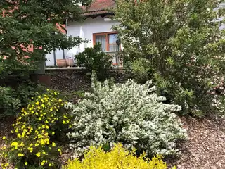 Gartenimpressionen