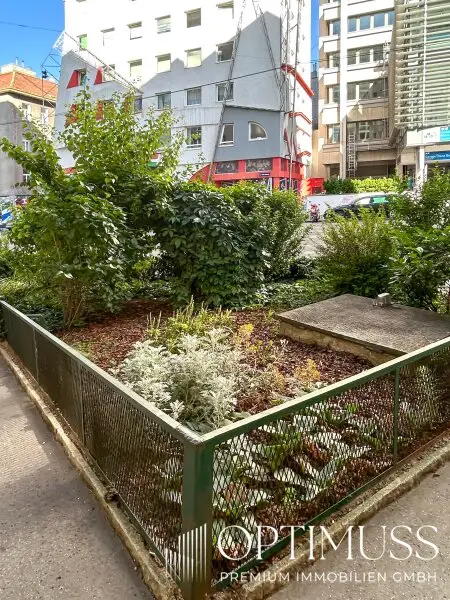 Lichtdurchflutete 2,5 Zimmer Wohnung in Topp Lage mit grosser Loggia und Grünblick auf Donaukanal!
