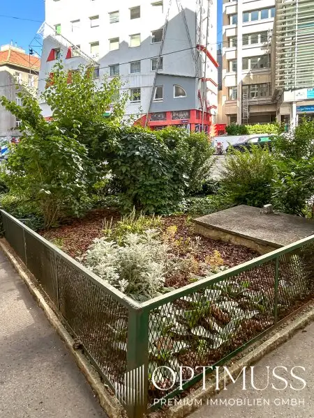 Lichtdurchflutete 2,5 Zimmer Wohnung in Topp Lage mit grosser Loggia und Grünblick auf Donaukanal!