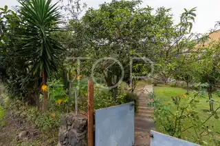 Haus-Icod-de-Los-Vinos-xxx-Teneriffa-34