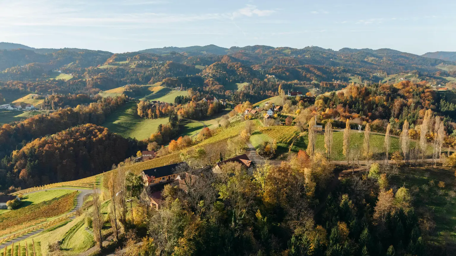 Buschenschank/Heuriger Eory zum Traubenkogel zu verkaufen!