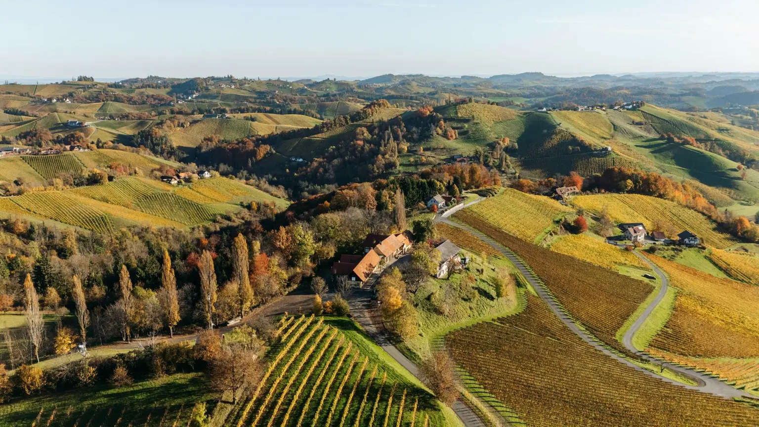 Buschenschank/Heuriger Eory zum Traubenkogel zu verkaufen!