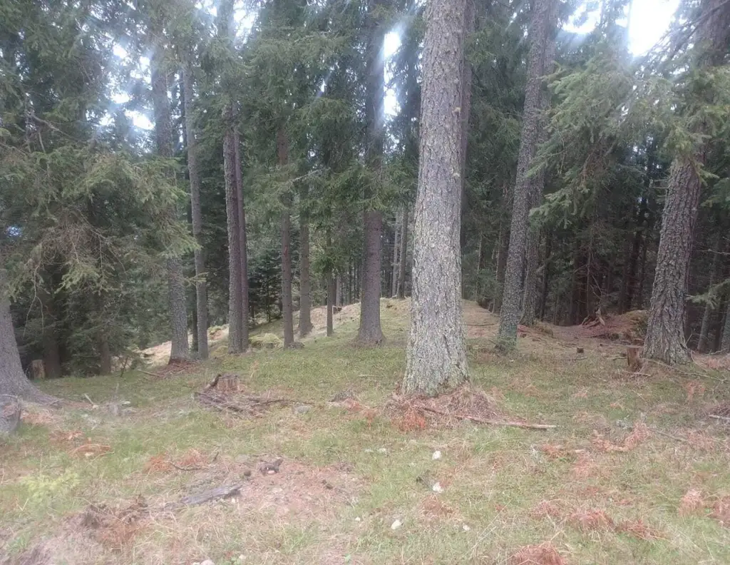 Waldgrundstück zu verkaufen!