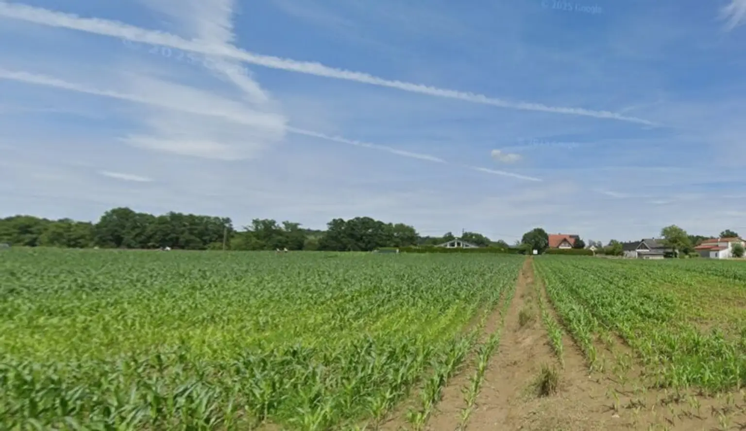 Sanierungsbedürftiges Haus mit Garage und Grünblick in Deutsch Goritz – Ihr neues Projekt!