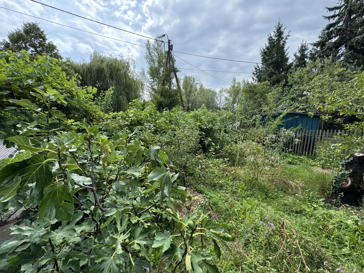 Exklusives Grundstück in Traumlage am Mühlwasser