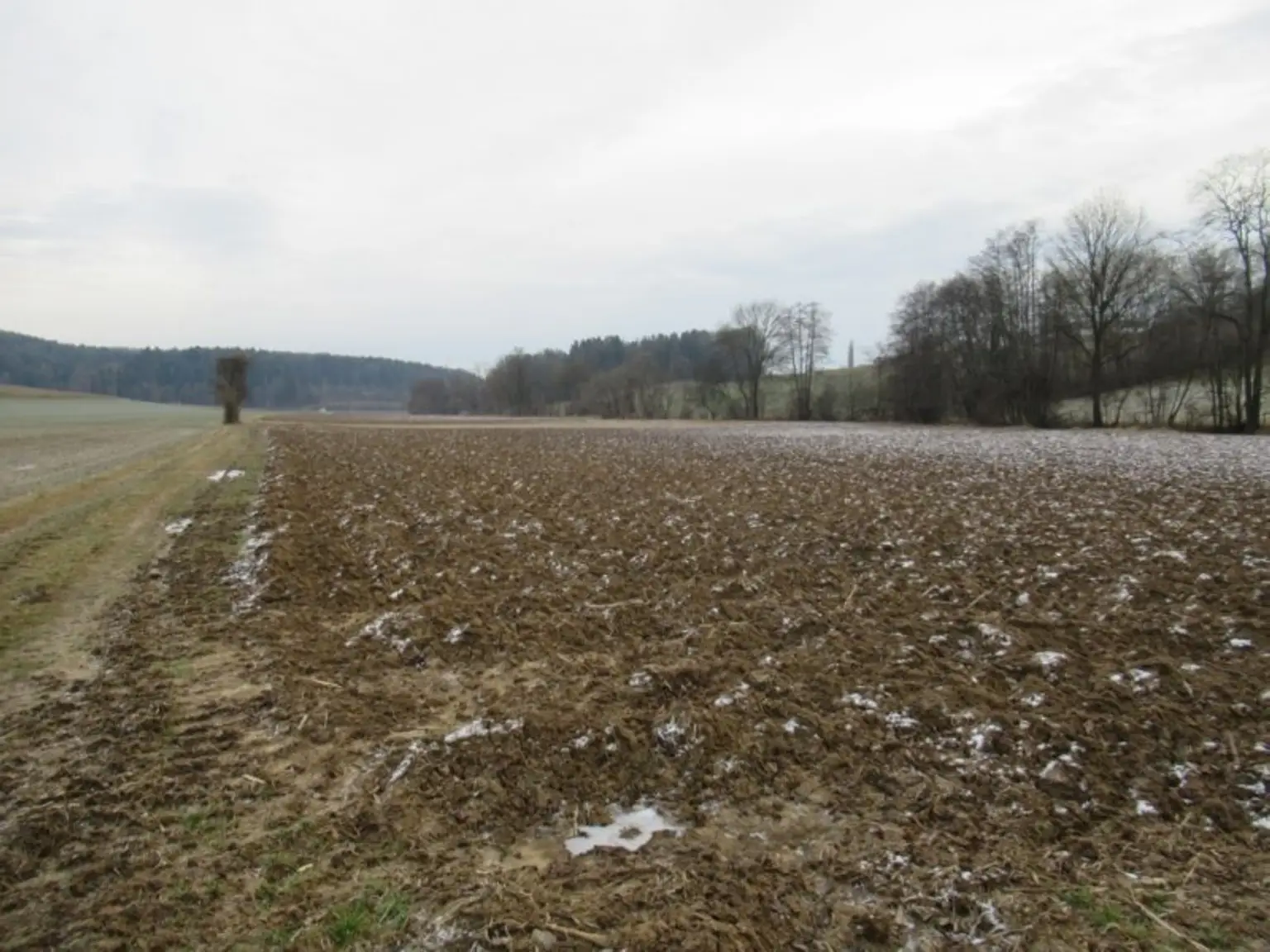 Konkursverwertung! Freilandflächen in Unterdombach - Nähe Hartberg!