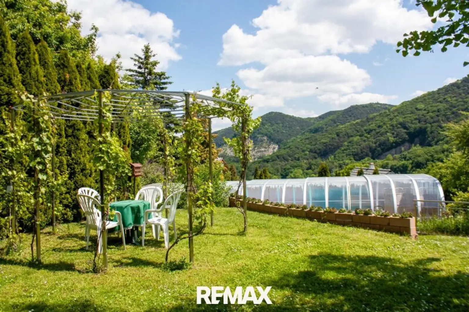 Gartenimpressionen 1