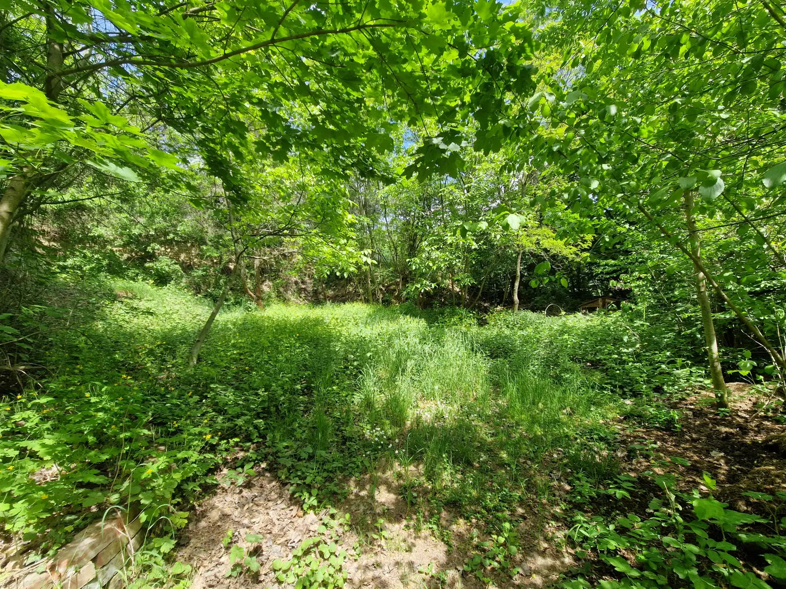 Ansicht36