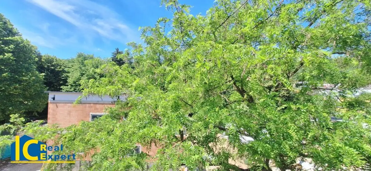 Ausblick ins Grüne