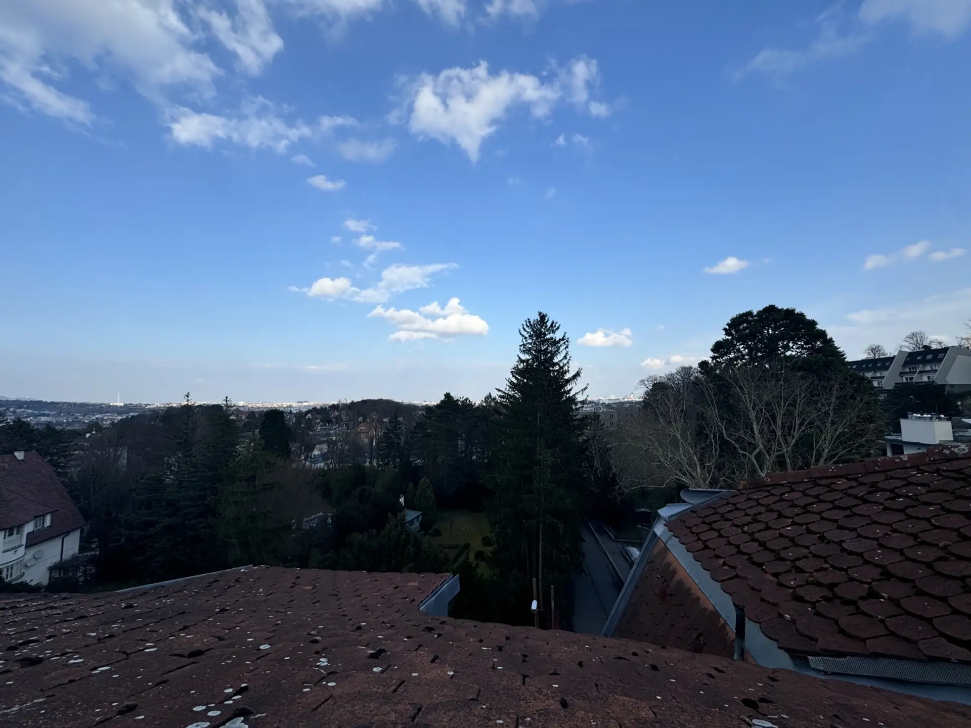 20250325_144707273_iOS