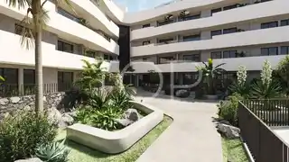 CARENA WAVES 7
