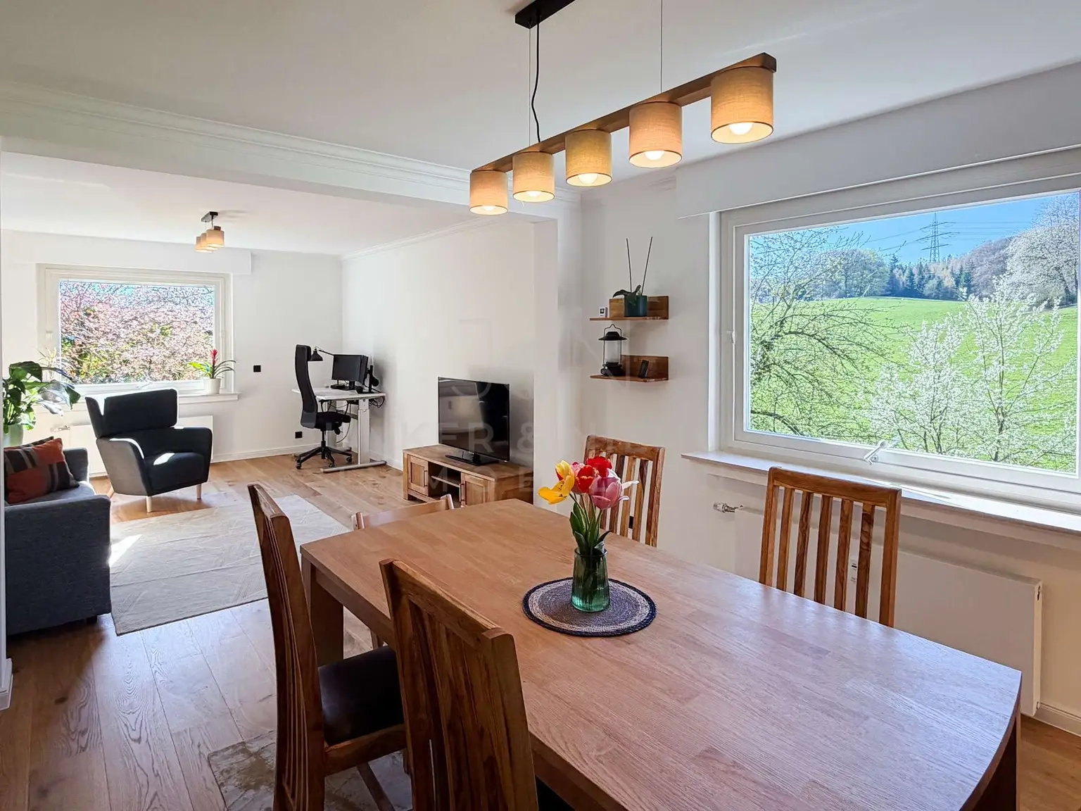 Wohn- und Essbereich