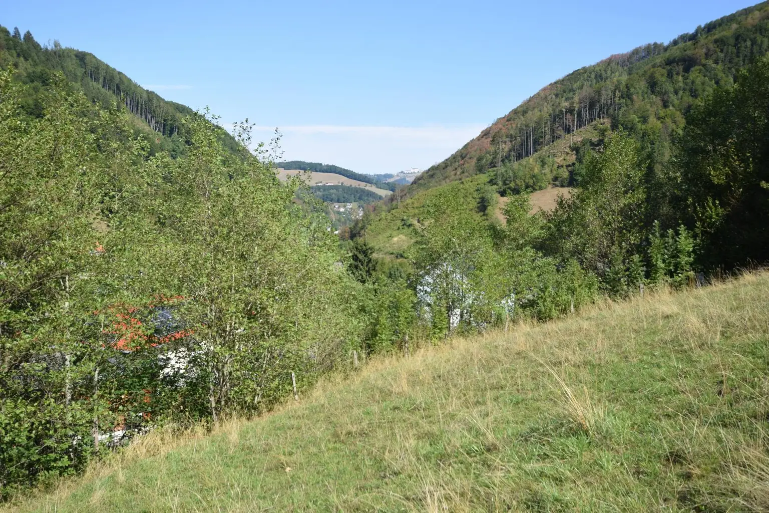 Sonntagbergblick