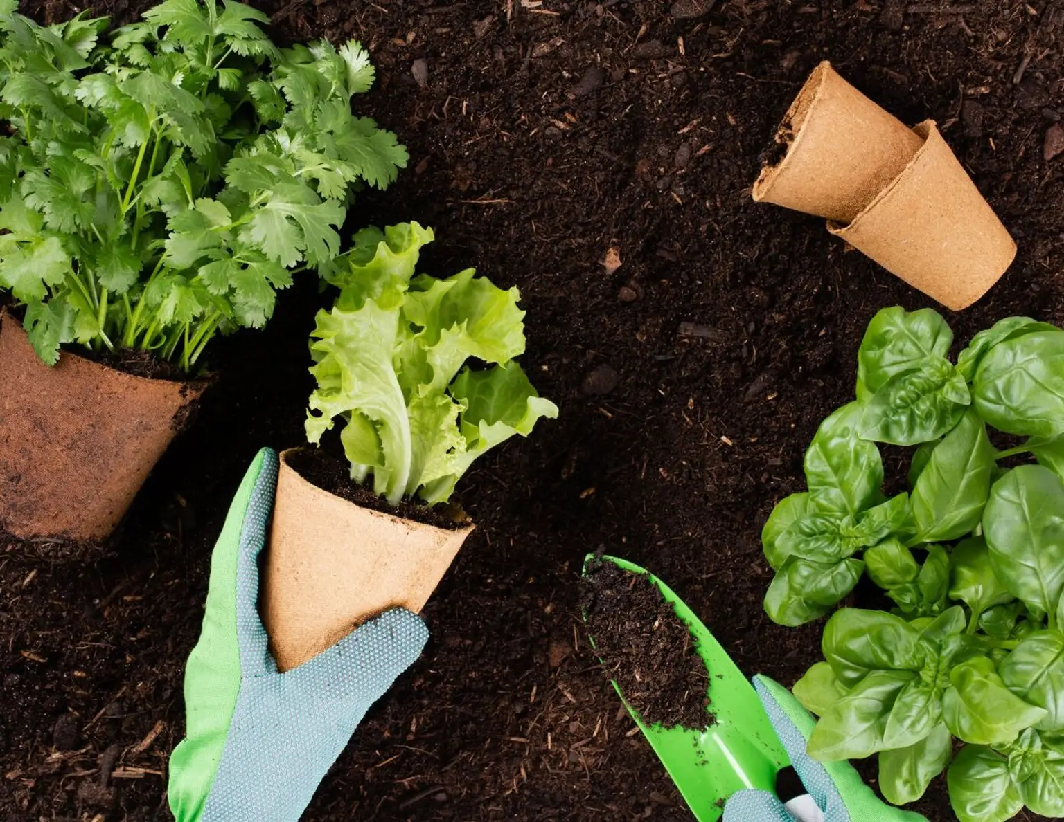 Gemüsegarten / Schrebergarten in Salzburg-Aigen!